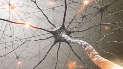 Compressed nerve